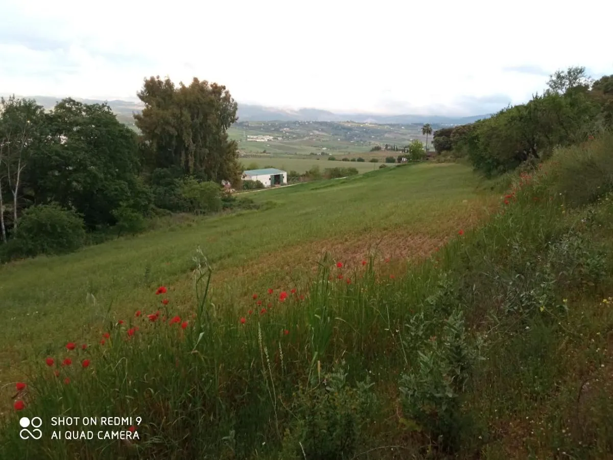 Villa Elisabeth Con Piscina Climatizada Chimenea Y Terraza Arriate Holiday home